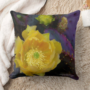 Purple prickly pear opuntia cactus yellow flowers cushion