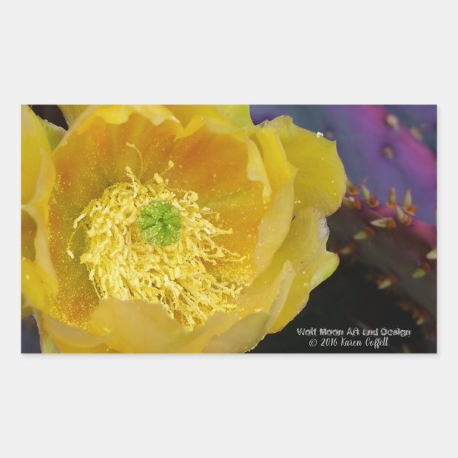 Purple prickly pear opuntia cactus yellow flowers rectangular sticker (Front)