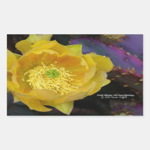 Purple prickly pear opuntia cactus yellow flowers rectangular sticker