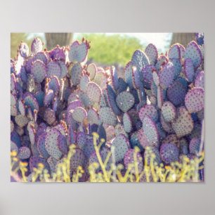 Purple Prickly Pears   Poster
