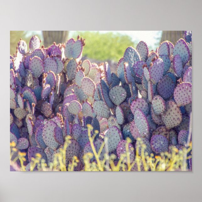 Purple Prickly Pears | Poster (Front)