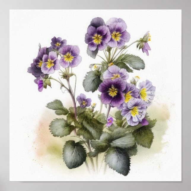 Purple Primrose Flower Art Print Poster (Front)