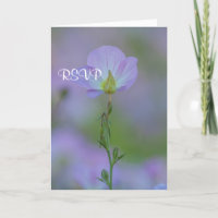 Purple Primrose RSVP