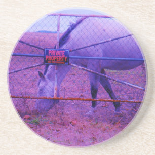 Purple Private Property Horse Coaster