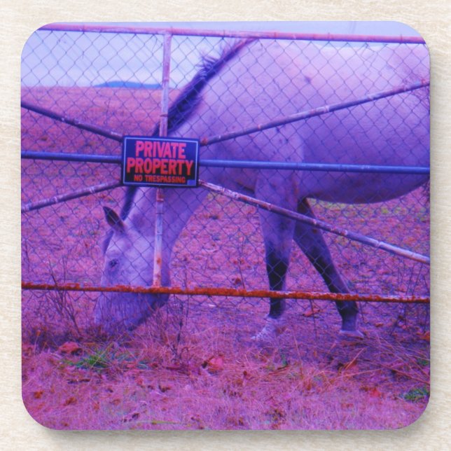 Purple Private Property Horse Coaster (Front)