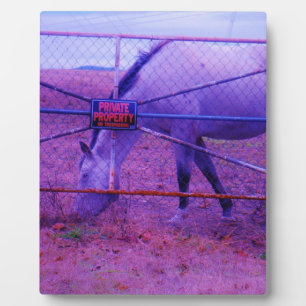 Purple Private Property Horse Plaque