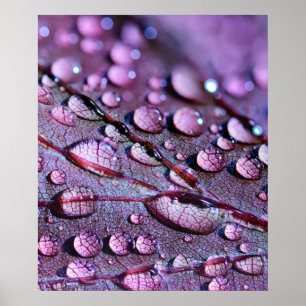 Purple Rain Poster