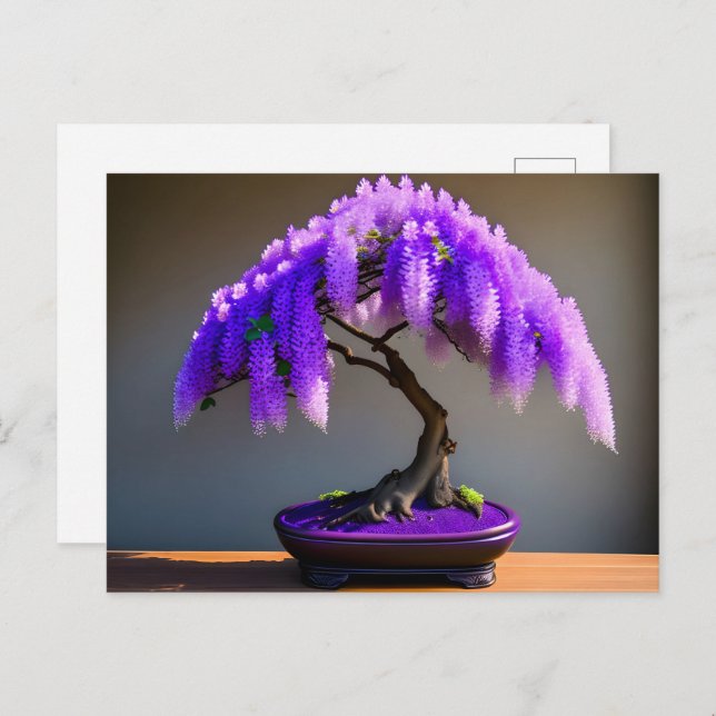 Purple Rain Wisteria Bonsai, Postcrossing Postcard (Front/Back)
