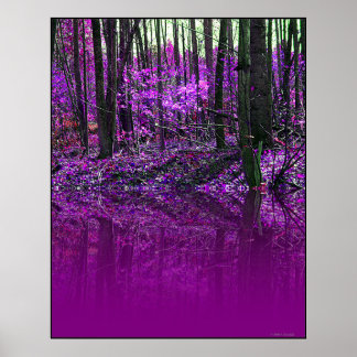 Purple Reflections poster