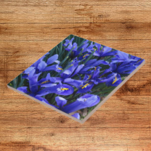Purple Reticulated Irises Floral Ceramic Tile