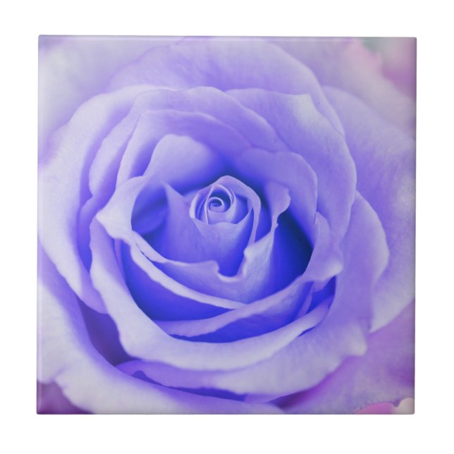 Purple Rose Background Customised Lavender Blank Ceramic Tile (Front)