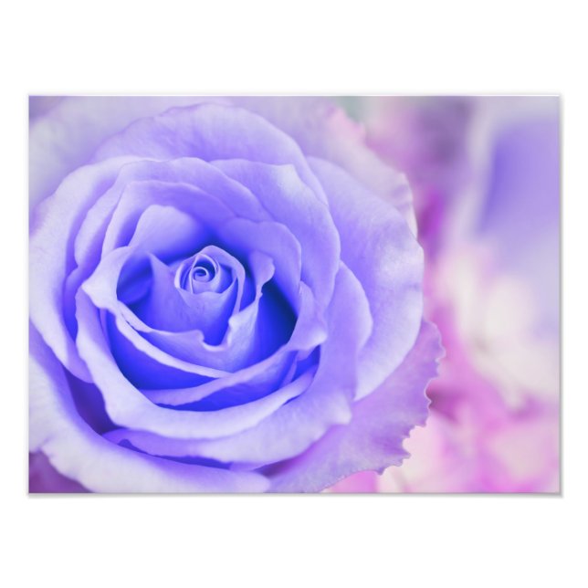 Purple Rose Background Customised Template Photo Print (Front)