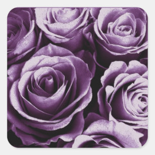 Purple Rose Bouquet Wedding Rose Square Sticker
