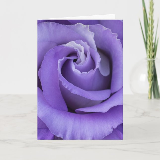 Purple Rose Card (Front)