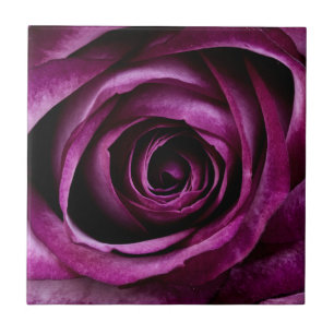 Purple Rose Flower Ceramic Tile