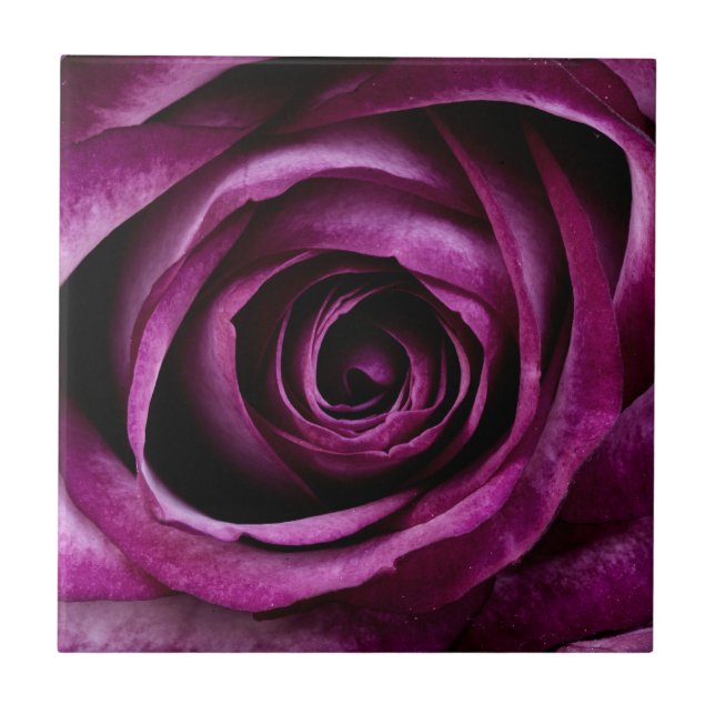 Purple Rose Flower Ceramic Tile (Front)