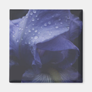 Purple Rose Flower Magnet