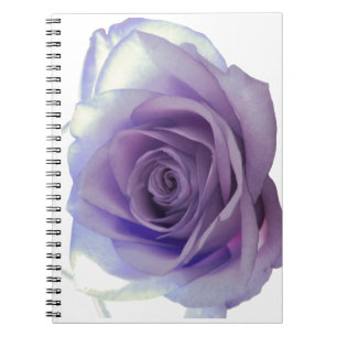 Purple Rose Flower Notebook