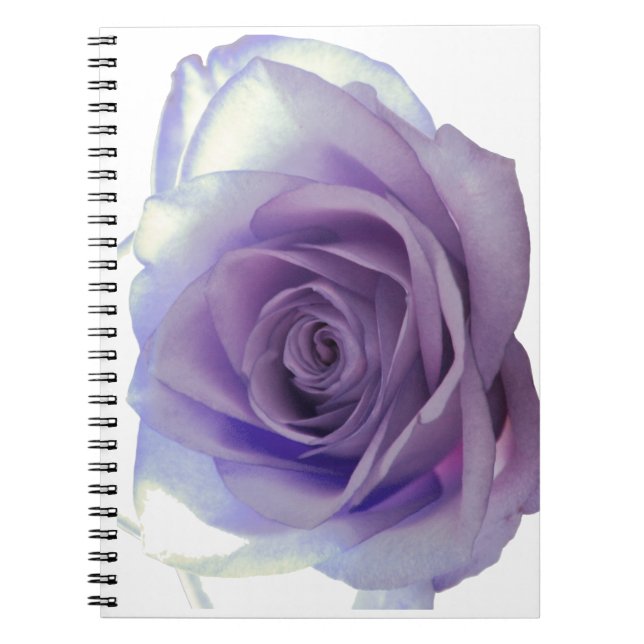 Purple Rose Flower Notebook (Front)