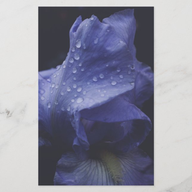 Purple Rose Flower Stationery (Front)