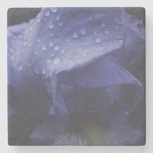 Purple Rose Flower Stone Coaster (Front)