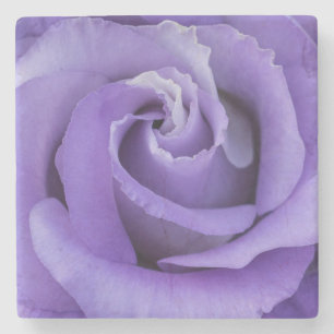 Purple Rose Flower Stone Coaster