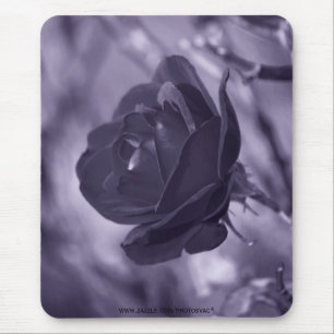 Purple Rose Mouse Pad