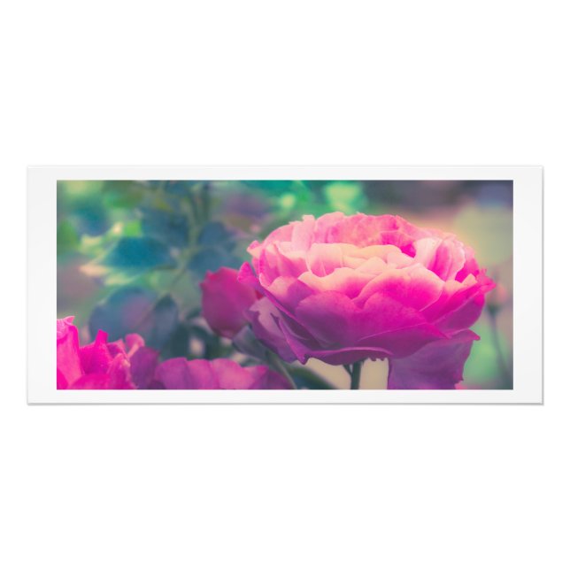 Purple Rose Prints (Front)