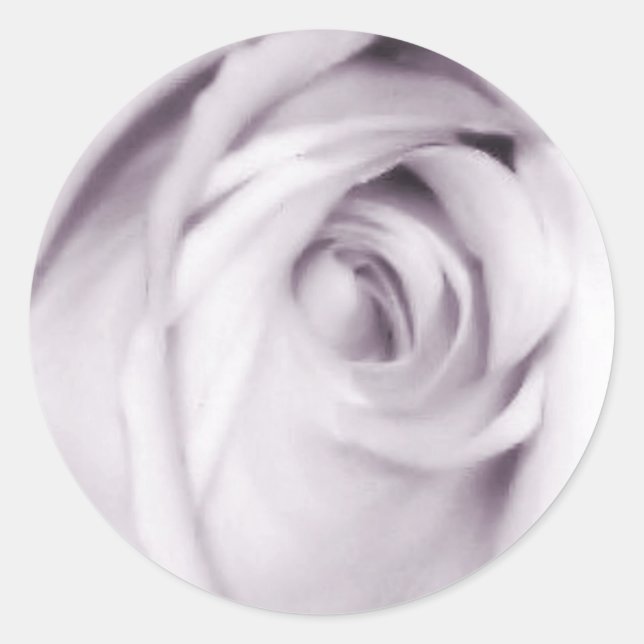 purple rose sticker (Front)