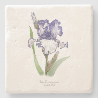 Purple Ruffled Iris Stone Coaster