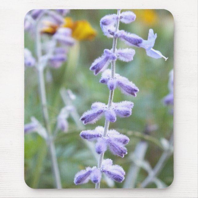 Purple Russian Sage -Pervoskia Mouse Pad (Front)
