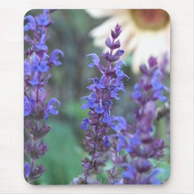 Purple Salvia Mouse Pad (Front)