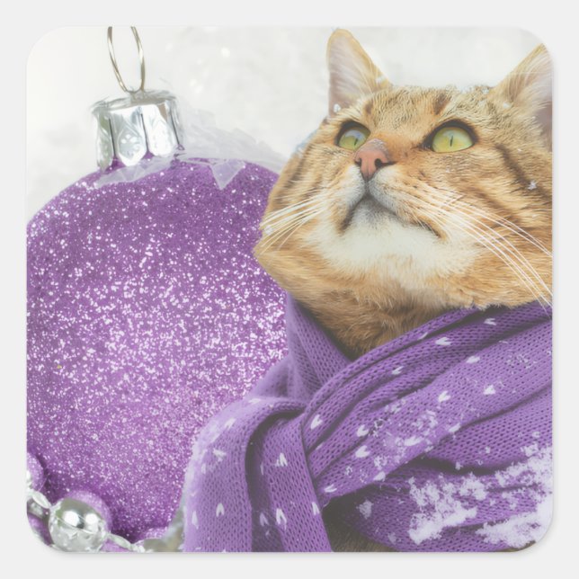 Purple Scarf Winter Cat Stickers (Front)