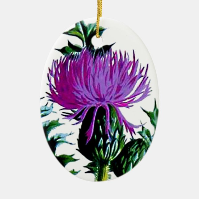 Purple Scottish Garden Thistle Ceramic Ornament (Front)