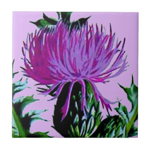 Purple Scottish Garden Thistle Tile