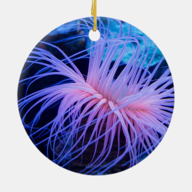 Purple Sea Anemone Marine Life Ceramic Ornament (Back)