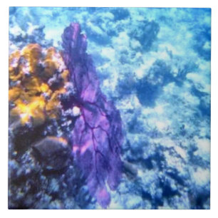Purple Sea Fan Tile