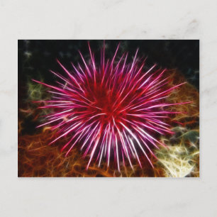 Purple Sea Urchin Postcard