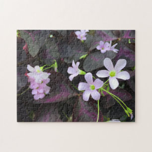 Purple Shamrock Blooms Photograph Jigsaw Puzzle