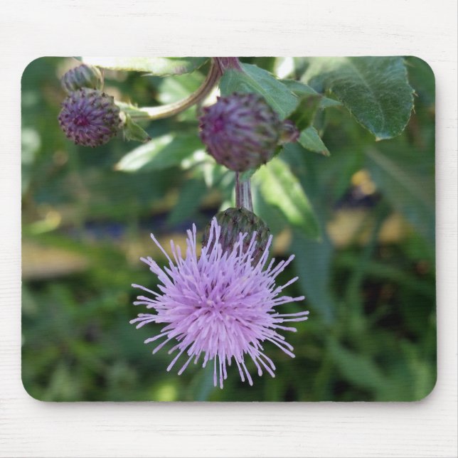 purple splash mouse pad (Front)