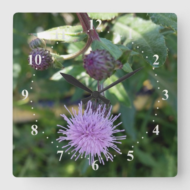 purple splash square wall clock (Front)