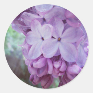 Purple Spring Classic Round Sticker