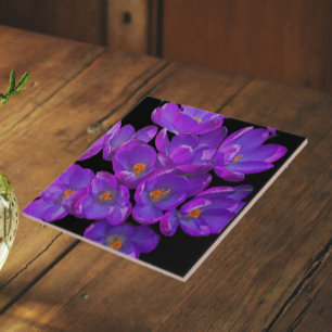 Purple Spring Crocuses Floral Ceramic Tile