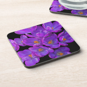 Purple Spring Crocuses on Black Floral Coaster