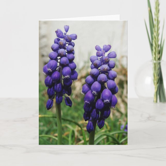 Purple Spring Flowers Card (Front)