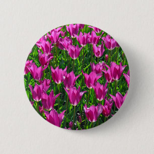 Purple spring tulips 6 cm round badge