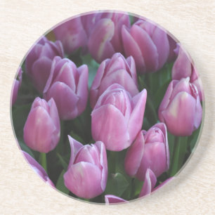 Purple spring tulips coaster