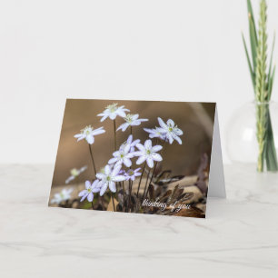 Purple Spring Wildflowers Card