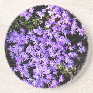 'Purple Springtime' Coaster