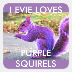 Purple Squirrel Love Square Sticker